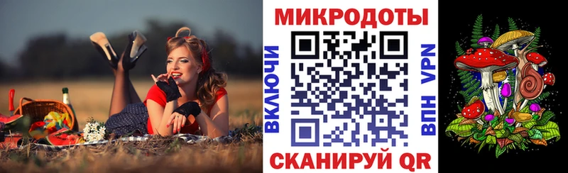 Псилоцибиновые грибы прущие грибы  Майкоп 