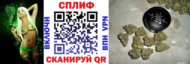 Бошки Шишки план гидра как зайти Майкоп
